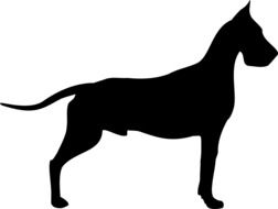 black silhouette of a purebred dog on a white background