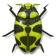 camouflaged ladybug