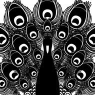 peacock in black and white colors