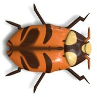clipart of orange ladybird on the white background