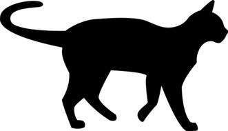 home Cat silhouette drawing
