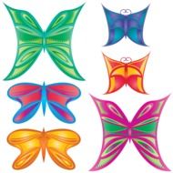 drawing of the colorful unusual butterflies