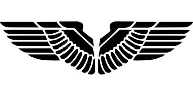silhouette of an eagle