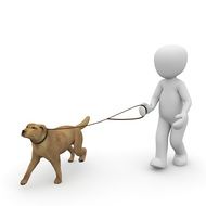 a child with a dog on a leash