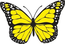 painted yellow butterfly