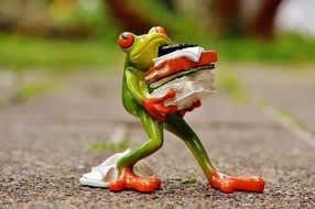 ceramic frog with books and calculator in hand