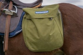 bag on the back of a horse