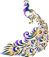 abstract image of a peacock