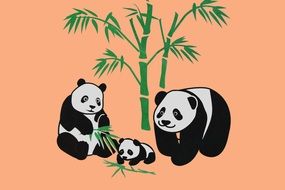 Pandas Animals Graphic drawing