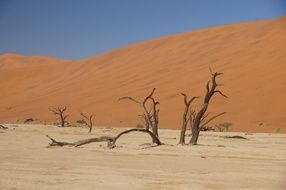 wilderness of Namibia