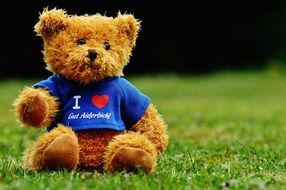toy in the shape of a bear in a shirt on a green meadow