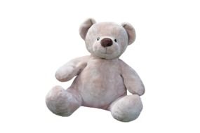 Teddy Bear Furry toy