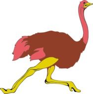 painted ostrich on a white background