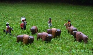 buffaloes and indians from the playmobil set