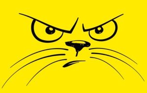 Unhappy Cartoon Cat Face