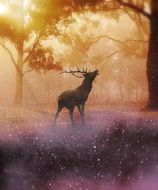 deer in the mystical forest