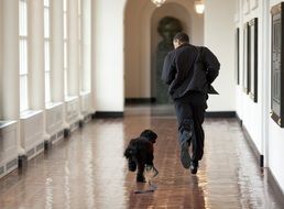 Barack Obama with a dog in his residence