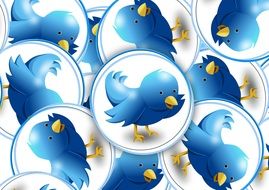 Twitter Logo blue Bird drawing