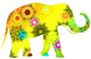 colorful Animal Elephant outlines draft