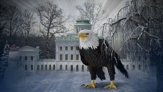 Winter Eagle Bird with Palace wallpaper