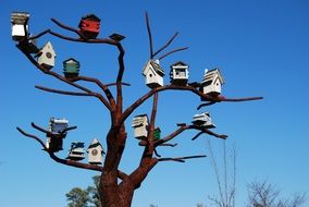 Bird Houses on tree
