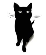 drawing of a black cat with white eyes