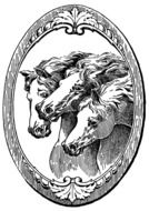 horses as retro design in black and white illustration