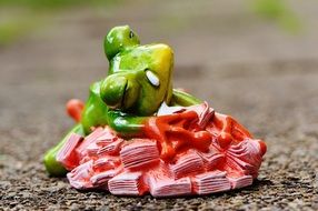 green frog rests on a pile of money on the ground in the park