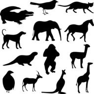 Animals and Birds, black silhouettes