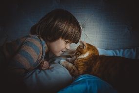 boy plays with a cute cat in bed