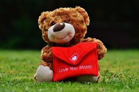teddy bear on a green grass with a letter