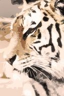 portrait of a peaceful tiger