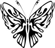 black and white illustration of a butterfly