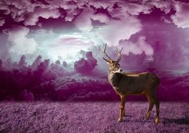 drawn red deer on a background of purple clouds