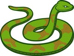 painted green snake