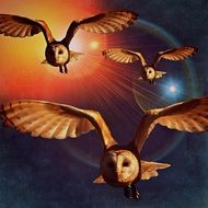 Owls in Fligh, digital art