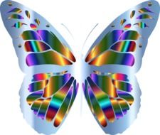 abstract image of a butterfly with colored wings