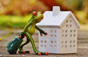 Frog with a suitcase near the white house