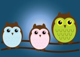 Birds Owl cartoon drawing