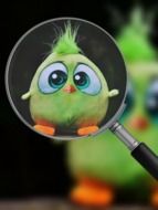 photo of toy bird through a magnifying glass