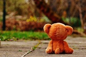 photo of teddy bear sits with his back on the footpath in the park