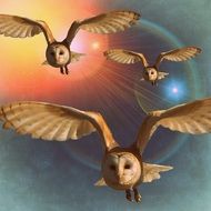 drawing of flying owls