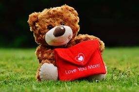 Teddy bear with a red envelope in his hand