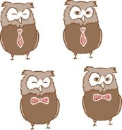 Owl Birds drawing