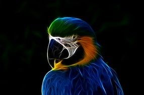 Ave Animal Birds Blue Macaw
