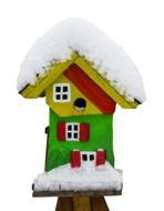 winter bird house