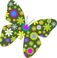 drawn butterfly with floral pattern