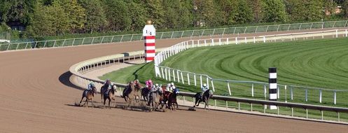 photo of the horse race