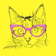 painted cat in pink glasses