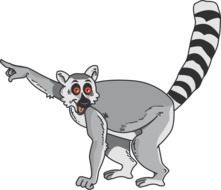 clipart of the Lemur